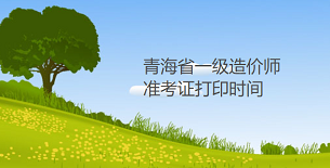 2022年青海省一级造价师准考证打印时间为11月8日至11月11日