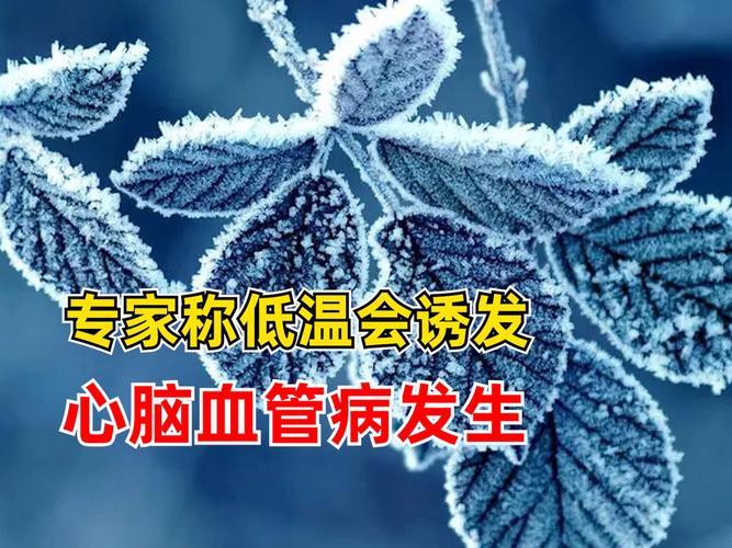 低温会诱发心脑血管病发生 专家提示这类人群要注意